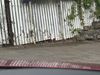 Mazda 3 2.0 Skyactiv X MHEV GT Sport Tech 5dr