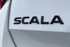 skoda Scala 1.0 TSI 116 Monte Carlo Edition 5dr DSG