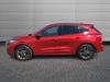 Ford Kuga 2.5 Fhev St-line Edition 5Dr CVT Estate