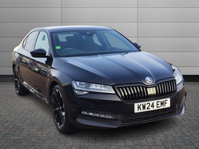 2024 skoda hamilton... photo