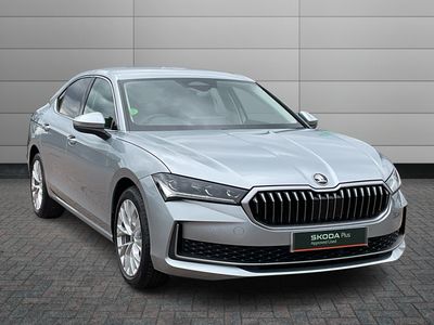2026 skoda hamilton... photo