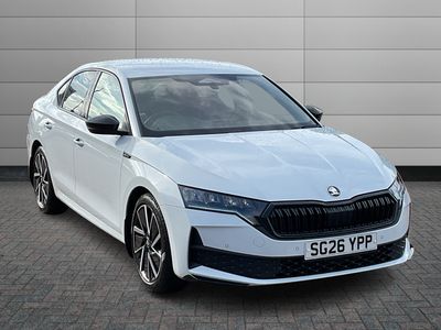 2026 skoda hamilton... photo