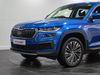 skoda KODIAQ 2.0 TDI SE L Executive 5dr DSG [7 Seat]