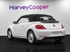 Volkswagen Beetle 1.6 TDI BlueMotion Tech Design Cabriolet 2dr