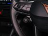 Cupra Formentor 2.0 TSI 333 VZ3 5dr DSG 4Drive