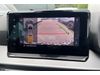 SEAT Ibiza 1.0 TSI 110 Xcellence Lux 5dr DSG