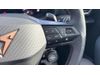 CUPRA Formentor FORMENTOR 2.0 TSI 333 VZ3 5dr DSG 4Drive