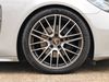 Porsche Panamera 4 Platinum Edition (MY23)