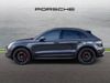 Porsche Macan GTS