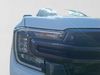 Ford Ranger RANGER 3.0D V6 WILDTRAK AWD A/T D/C P/U
