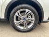 Ford TERRITORY TERRITORY Ambiente 1.8L Ecoboost 7AT