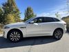 Jaguar F-PACE F-PACE P250 R-DYNAMIC S