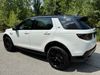 LAND ROVER Discovery Sport Discovery Sport Landmark