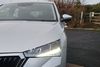 skoda SCALA 1.5 TSI SE 5dr DSG