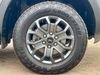 Ford Ranger TD 205 WILDTRAK ECOBLUE 4WD DOUBLE CAB AUTO  (21972)