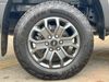 Ford Ranger TD 205 WILDTRAK ECOBLUE 4WD DOUBLE CAB AUTO  (21972)