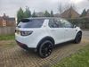 Land Rover Discovery Sport 2.0 TD4 180 HSE BLACK 4WD 7 SEAT AUTO