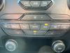 Ford Ranger TDCI 213 WILDTRAK ECOBLUE 4WD DOUBLE CAB WITH MOUNTAIN TOP AUTO  (22996)