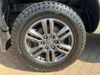 Ford Ranger TDCI 213 WILDTRAK ECOBLUE 4WD DOUBLE CAB WITH TRUCKMAN TOP AUTO  (23038)