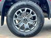 Ford Ranger TD 205 WILDTRAK ECOBLUE 4WD DOUBLE CAB WITH ROLL'N'LOCK TOP AUTO  (20847)