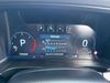 Ford Ranger TD 210 RAPTOR ECOBLUE 4WD DOUBLE CAB WITH ROLL'N'LOCK TOP AUTO