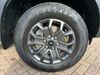 Ford Ranger TD 205 WILDTRAK ECOBLUE 4WD DOUBLE CAB WITH TRUCKMAN TOP AUTO  (23691)