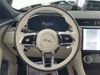 Jaguar F-PACE F-PACE P250 R-DYNAMIC S
