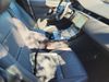 LAND ROVER Range Rover Evoque S