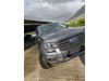 Ford Ranger 2.0D XL A/T D/C P/U