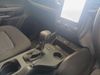 Ford Ranger 2.0D XL A/T D/C P/U