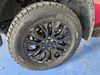 Ford Ranger 2.0BI-TURBO DOUBLE CAB HI-RIDER STORMTRAK