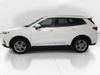 Ford TERRITORY 1.8T TREND