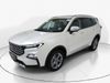 Ford TERRITORY 1.8T TREND