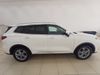 Ford TERRITORY 1.8T TREND
