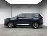Ford Territory Trend