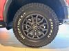 Ford N/A Ford Ranger 3.0 V6 BI Turbo EcoBoost Raptor 4X4 A/T