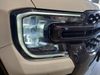 Ford N/A Ford Ranger Wildtrak 2.0L BiT D-Cab 4x2 10AT
