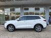 Ford TERRITORY TERRITORY AMBIENTE 1.8L ECOBOOST A/T